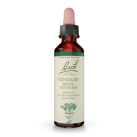 BACH CENTAURY