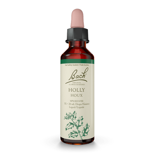 BACH HOLLY