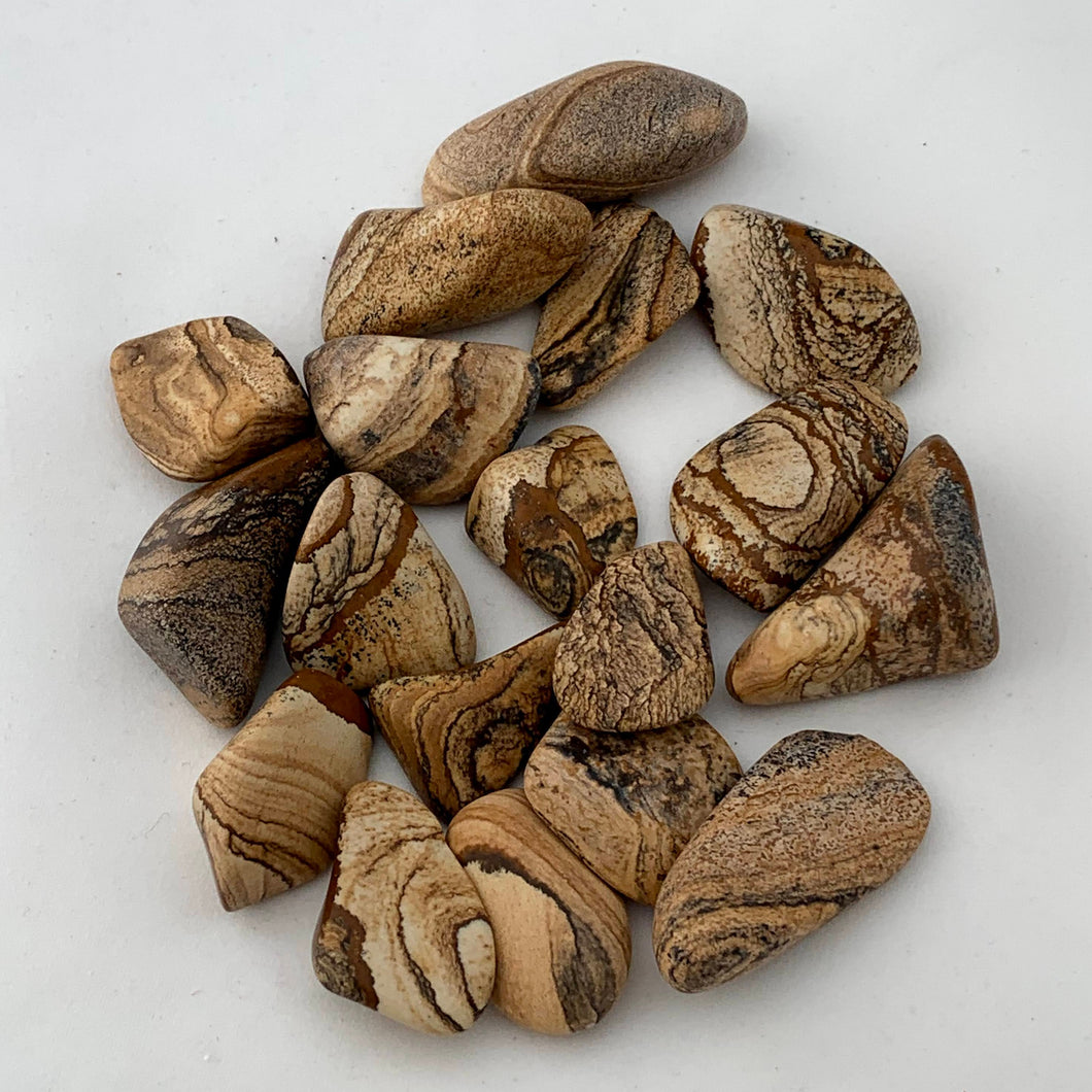 PICTURE JASPER