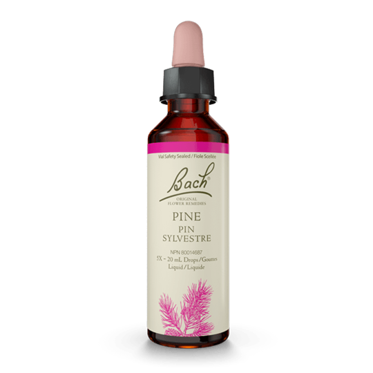 BACH PINE