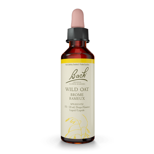 BACH WILD OAT